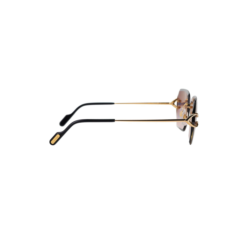 CT0466S  Signature C Sunglasses