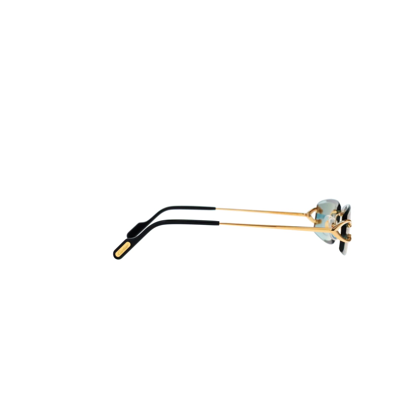 CT0465S Signature C  Rectangular Sunglasses