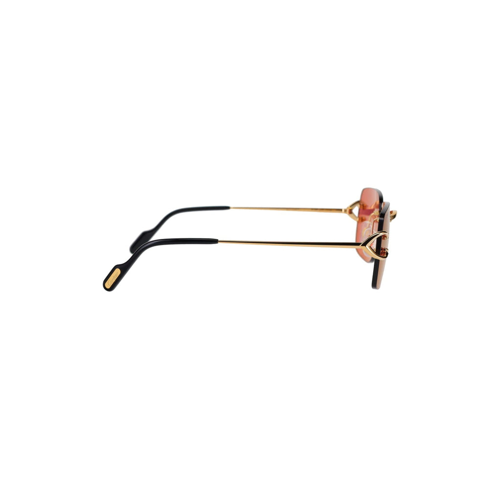 CT0330S Signature C  Sunglasses