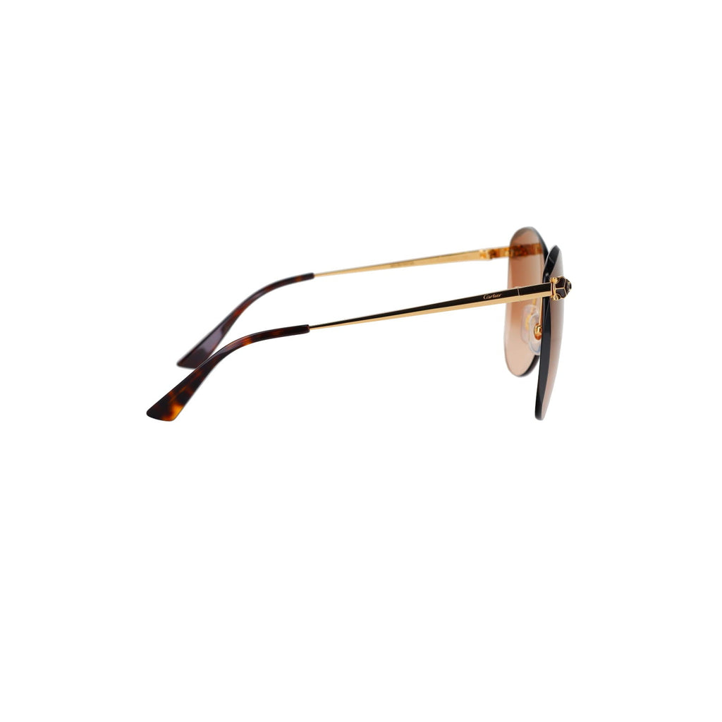 CT0398S Cat-eye Panthère Sunglasses