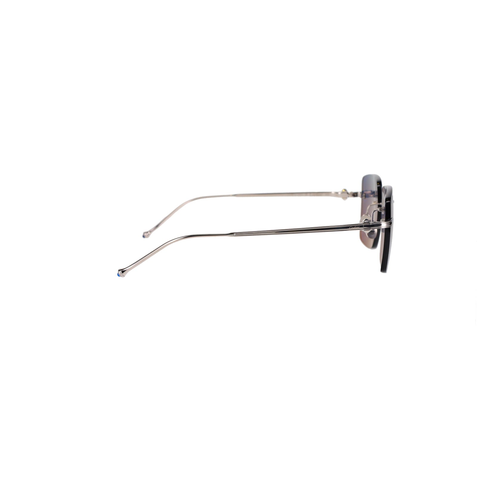 CT0403S Pasha Sunglasses