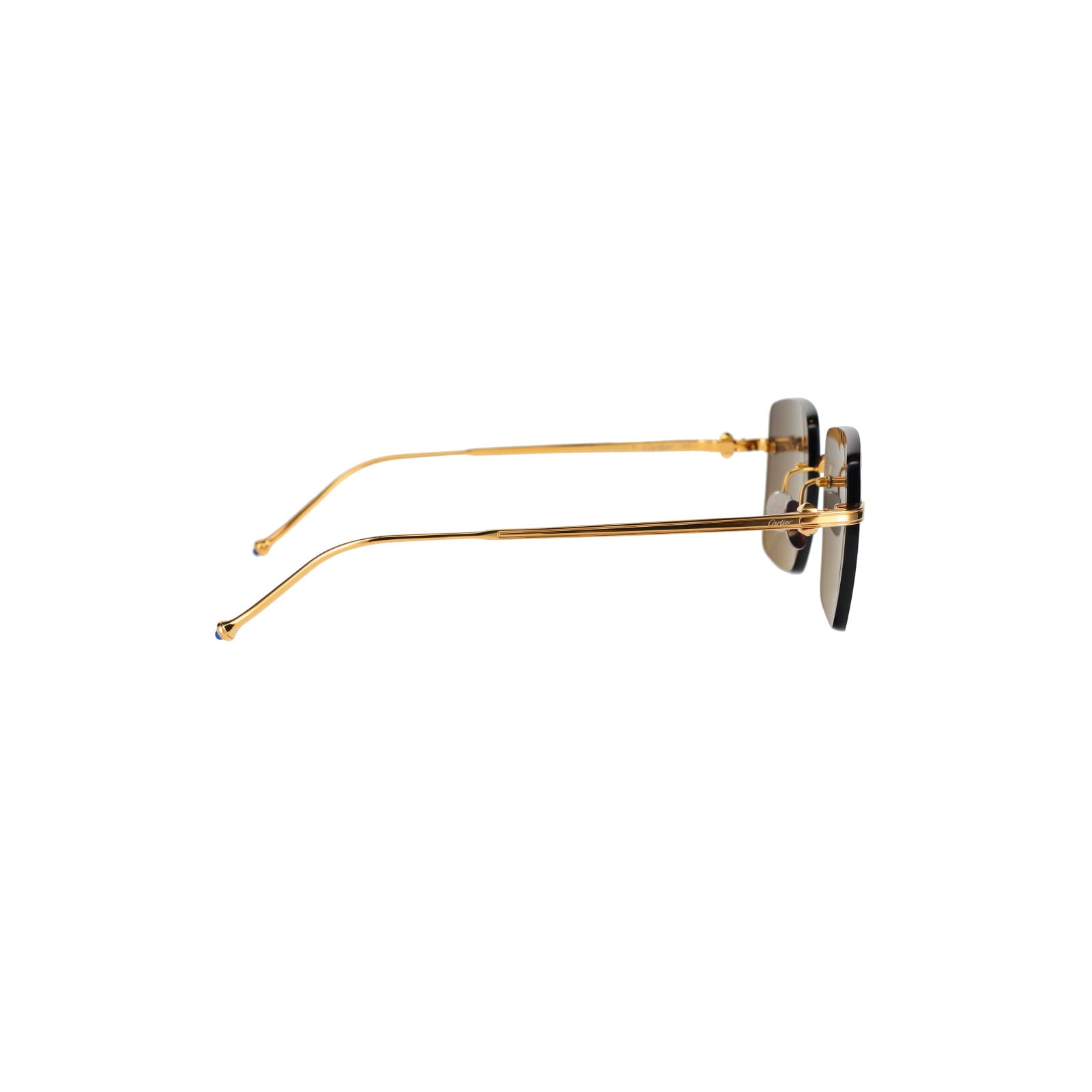 CT0403S Pasha Sunglasses