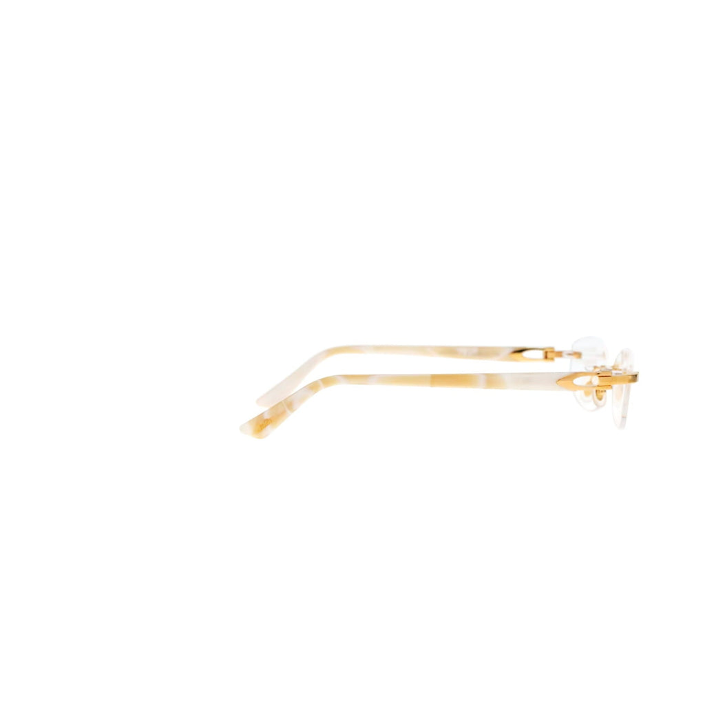 CT0318O C Décor Acetate Eyeglasses
