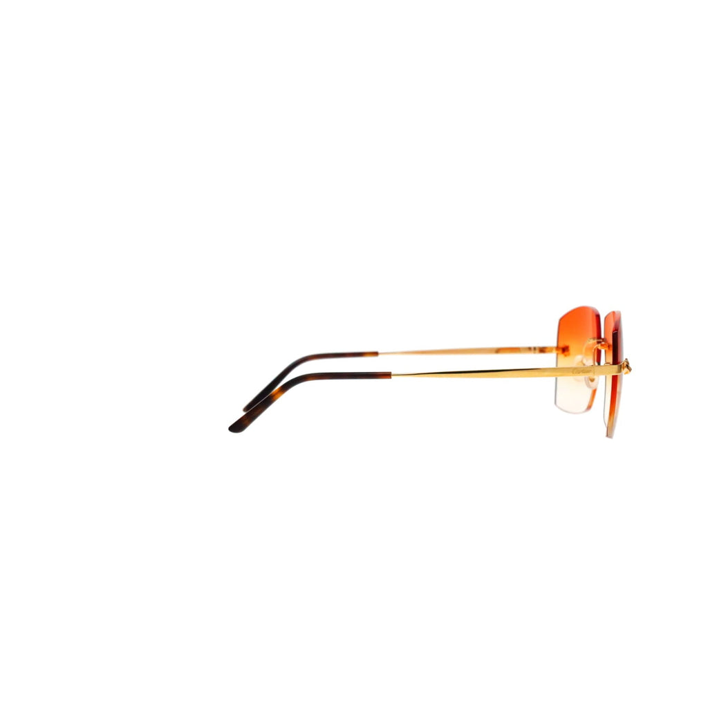 Cartier Custom Panthère Sunglasses by MEG