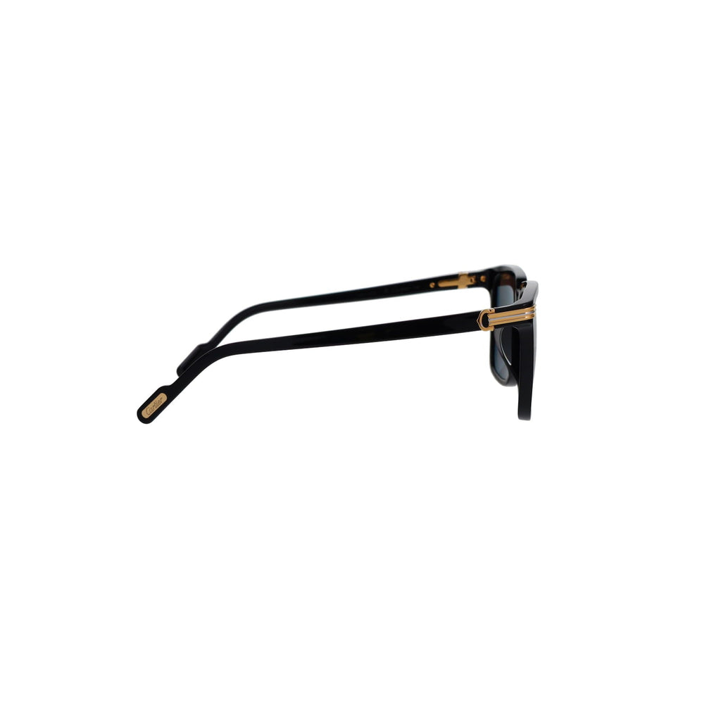CT0366S Contemporary Acetate Sunglasses