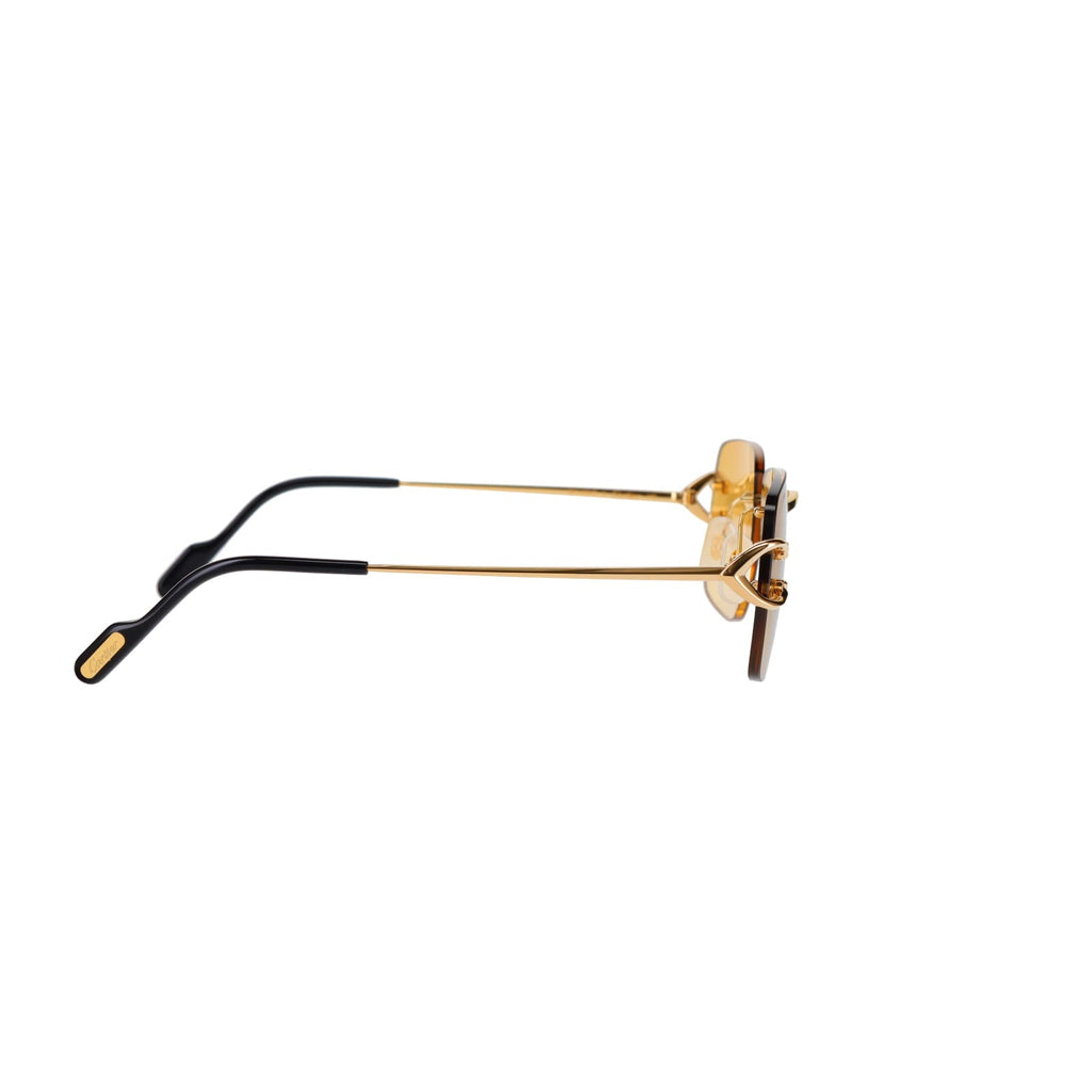 CT0330S Signature C  Sunglasses
