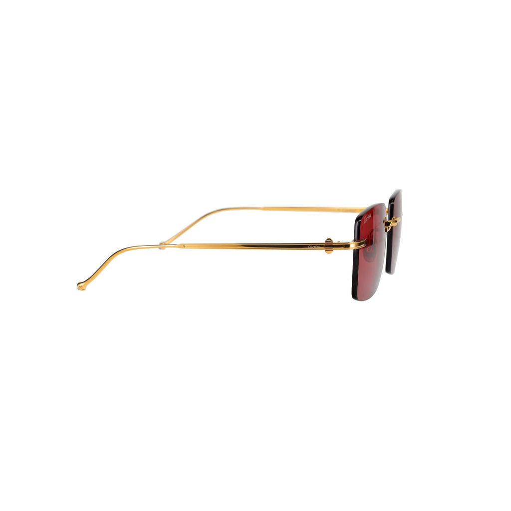 CT0403S Pasha Sunglasses