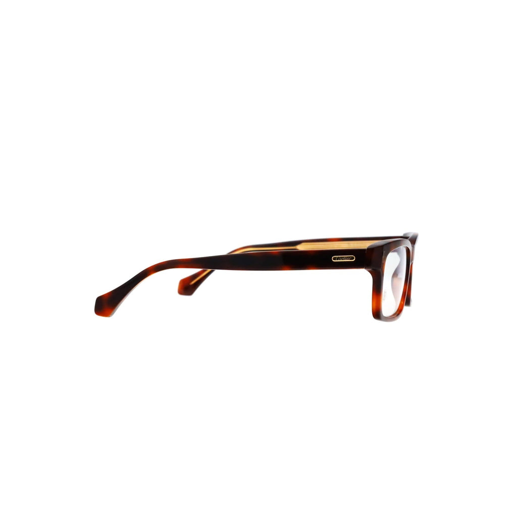 CT0291O Initiation Acetate Eyeglasses