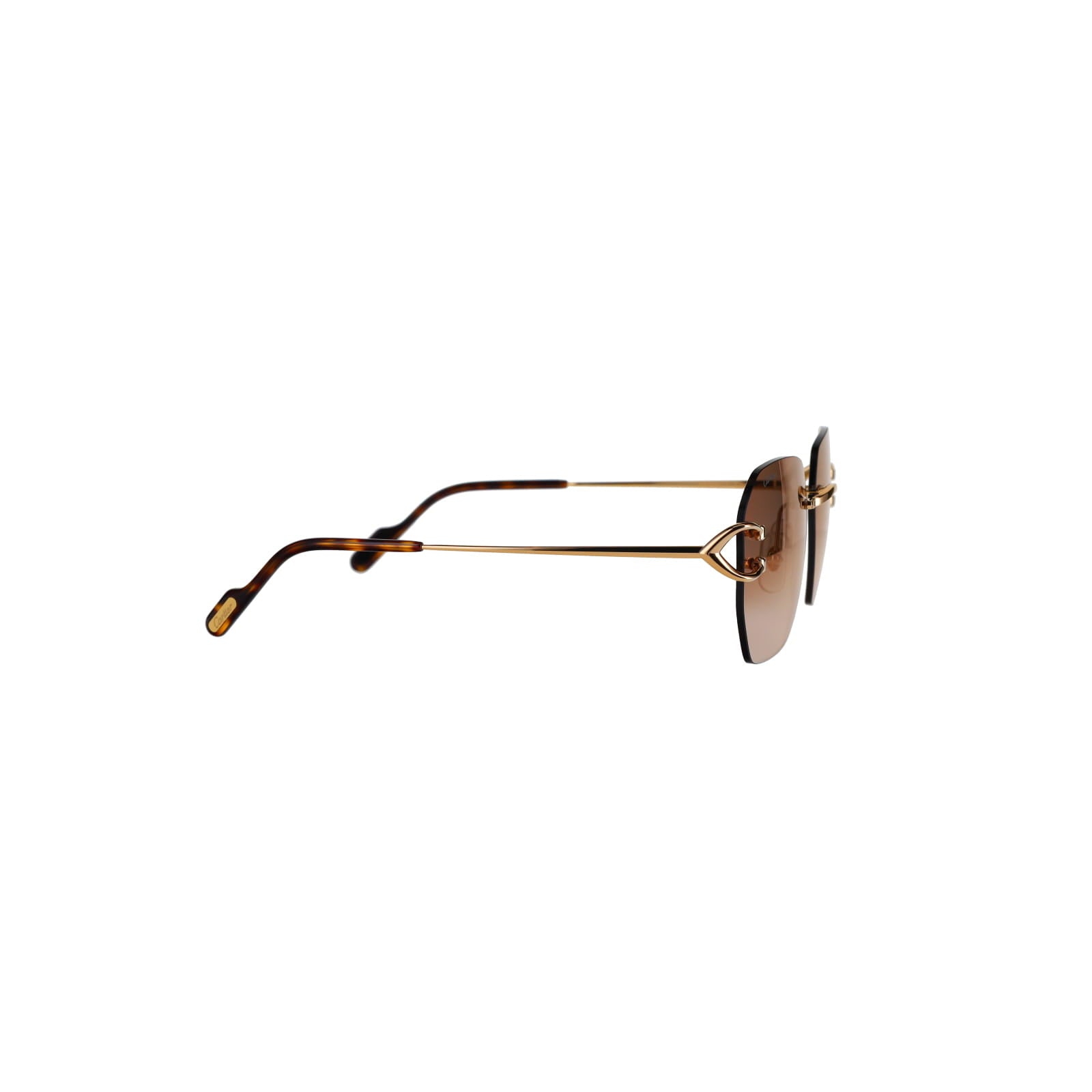 CT0394S Signature C Sunglasses
