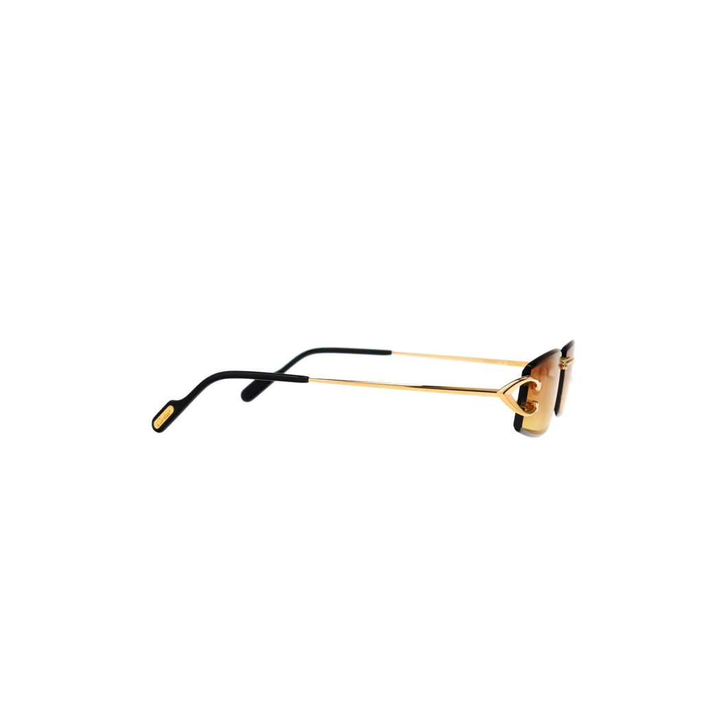 CT0465S Signature C  Rectangular Sunglasses