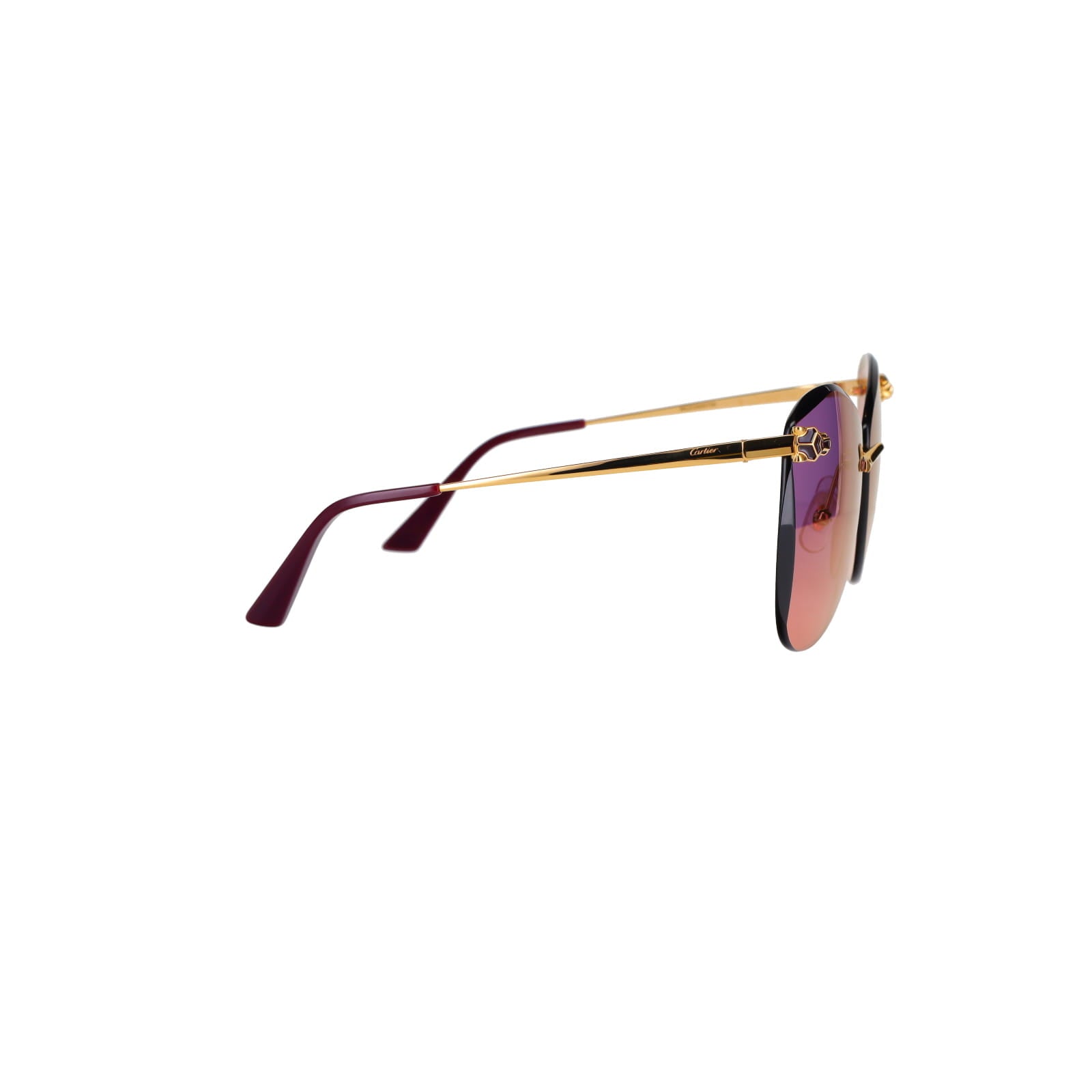 CT0398S Cat-eye Panthère Sunglasses