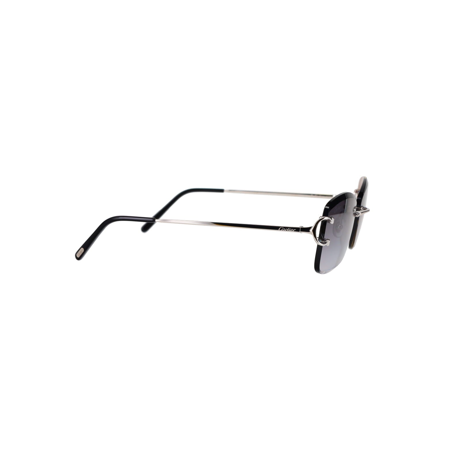CT0010RS Signature C Sunglasses