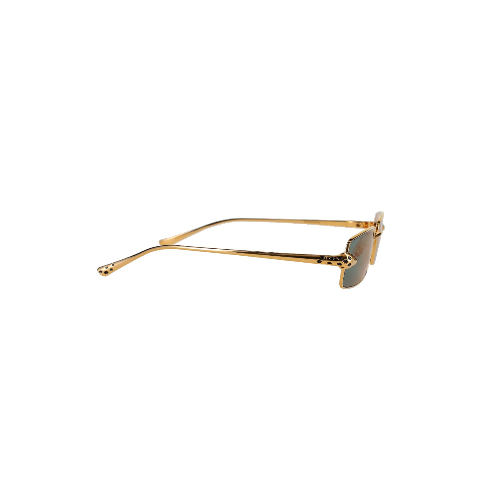 CT0473S Panthère Sunglasses