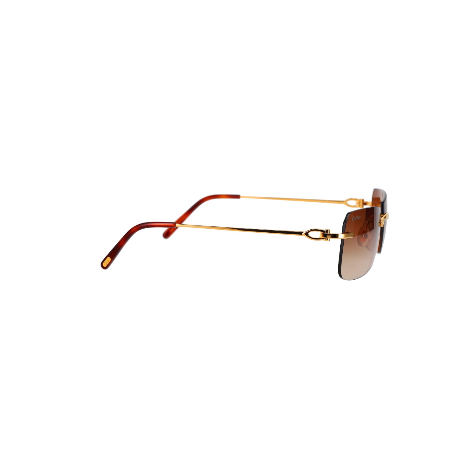 CT0006RS  C Décor Sunglasses