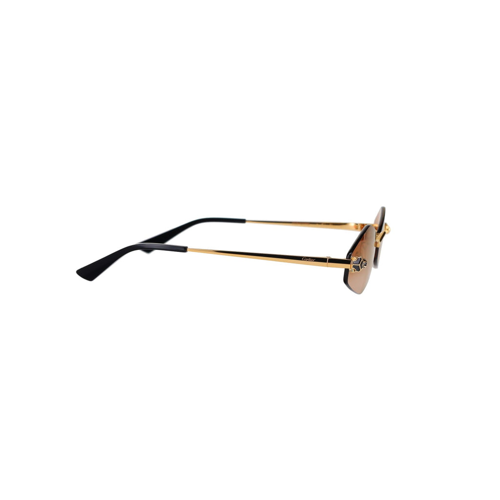 CT0433S Hexagonal Panthère Sunglasses