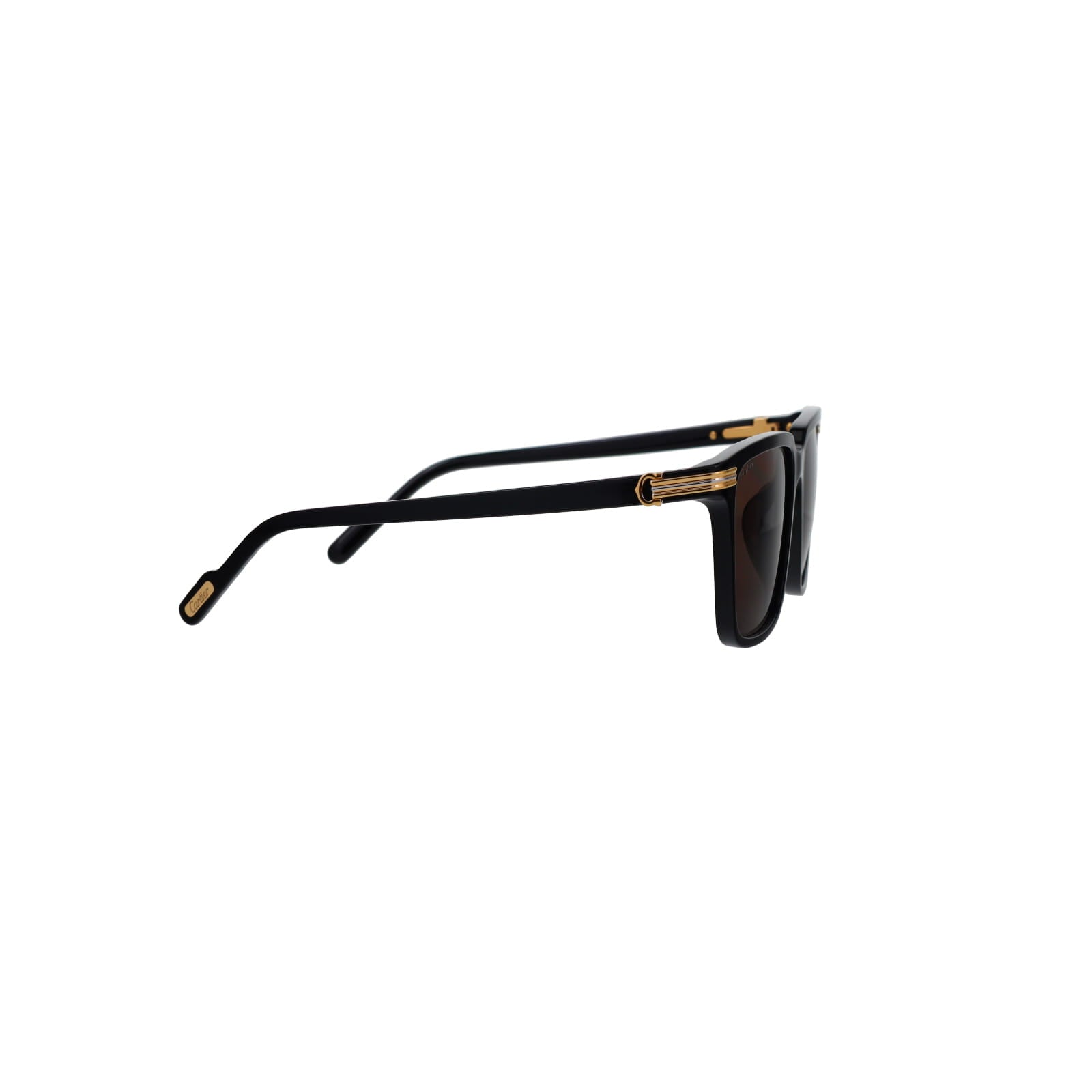 CT0366S Contemporary Acetate Sunglasses