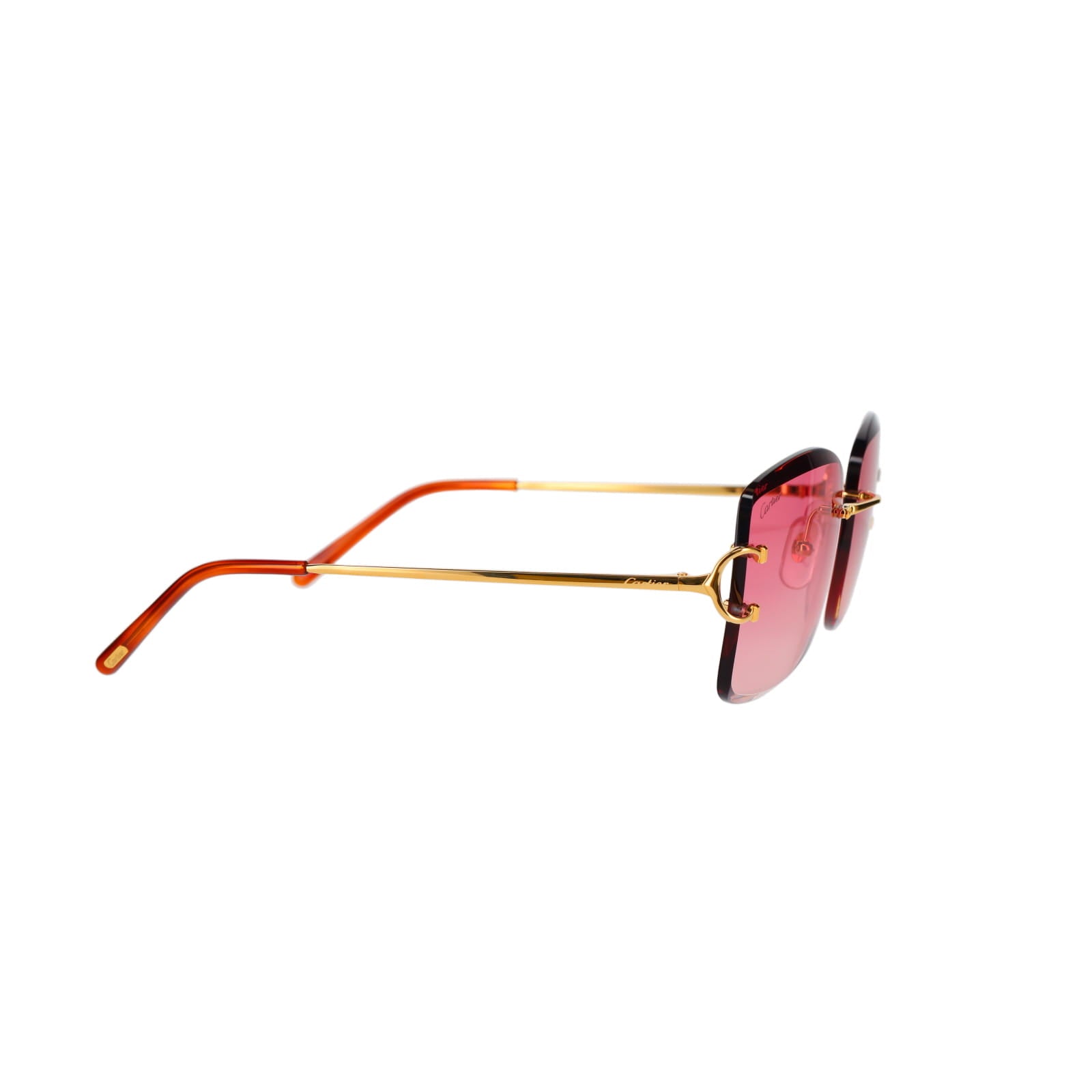CT0007RS Signature C Sunglasses