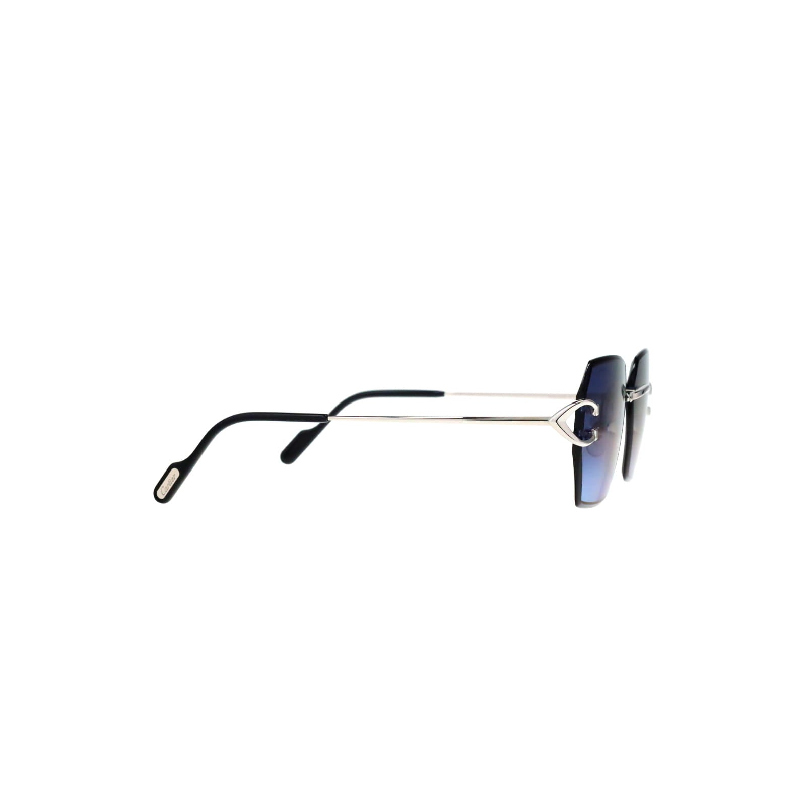 CT0466S  Signature C Sunglasses