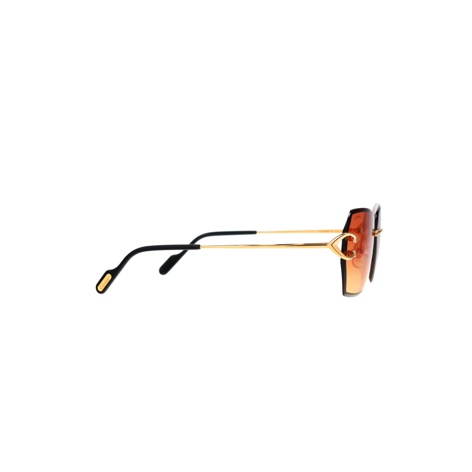 CT0466S  Signature C Sunglasses