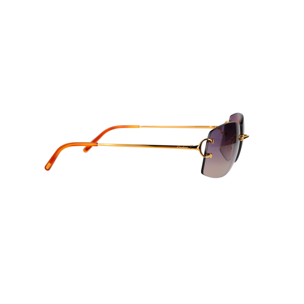 CT0008RS Signature C Sunglasses
