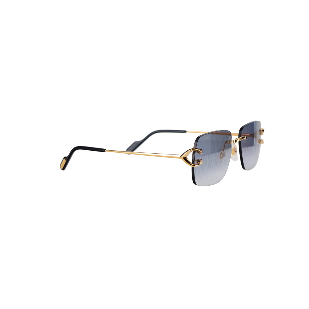 CT0330S Signature C  Sunglasses