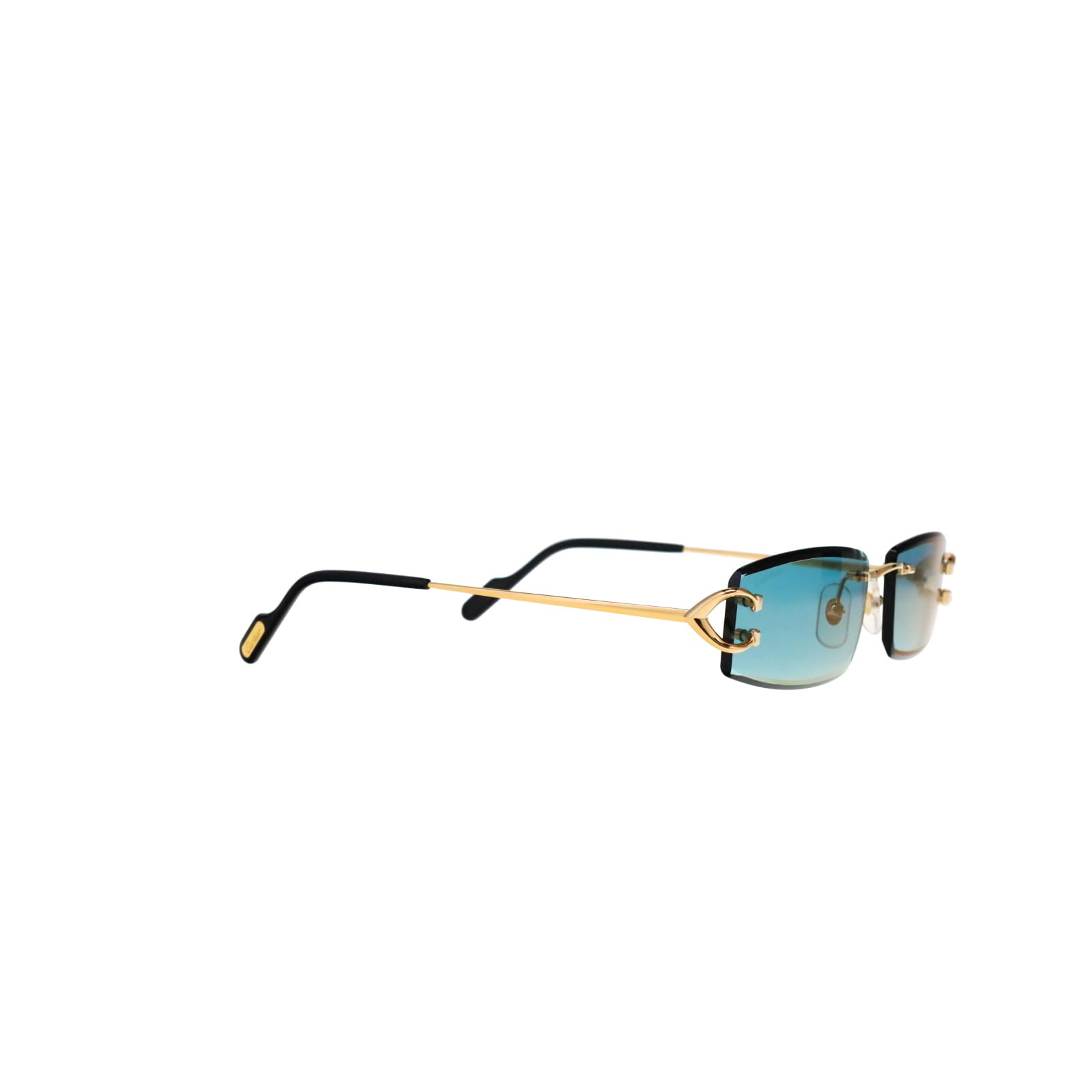 CT0465S Signature C  Rectangular Sunglasses