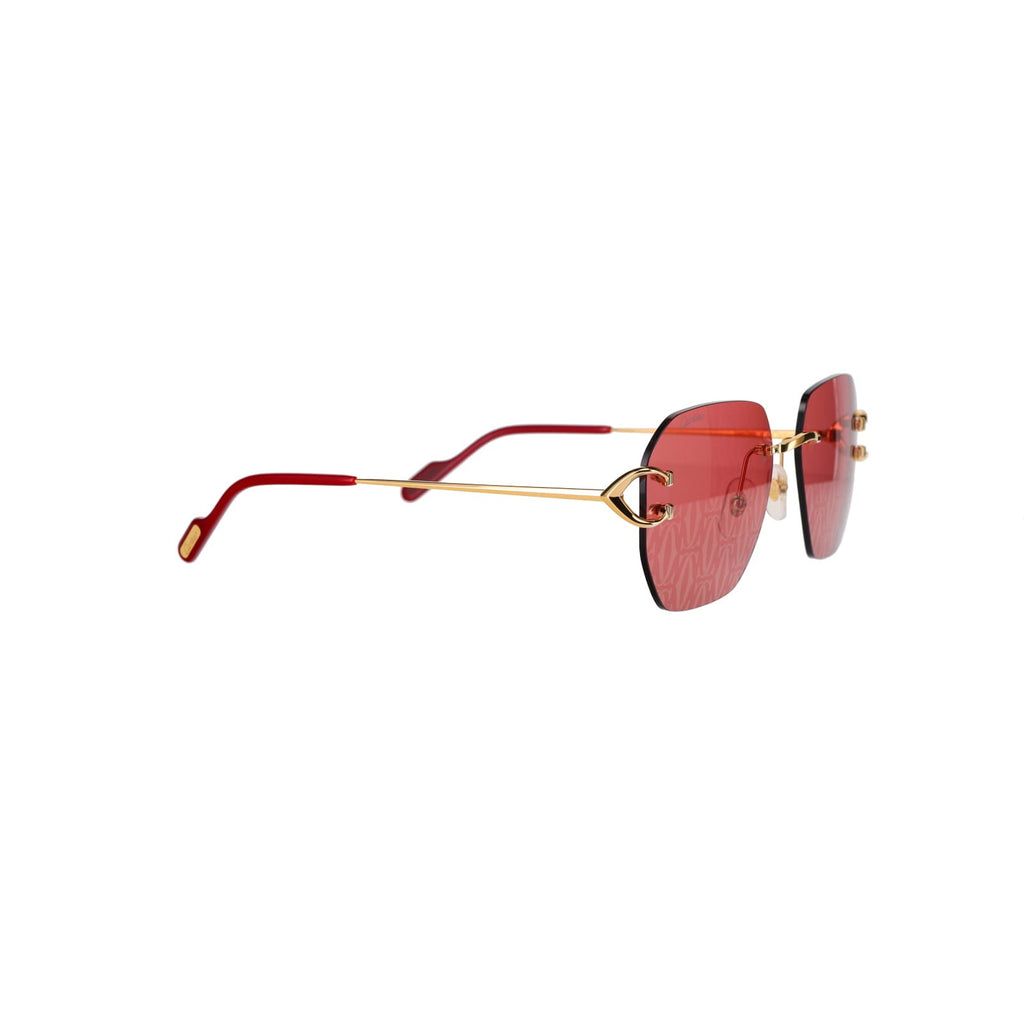 CT0394S Signature C Sunglasses