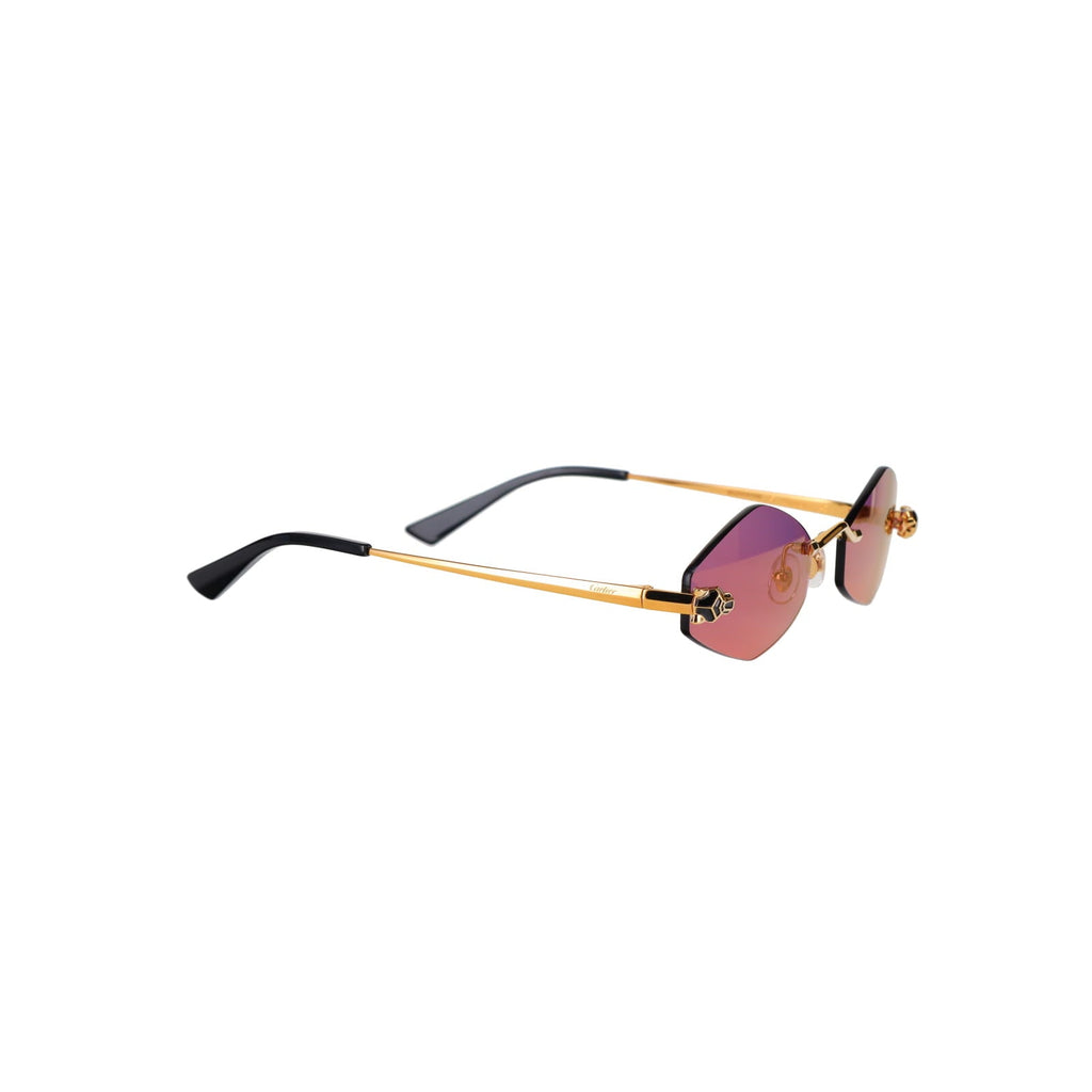 CT0433S Hexagonal Panthère Sunglasses