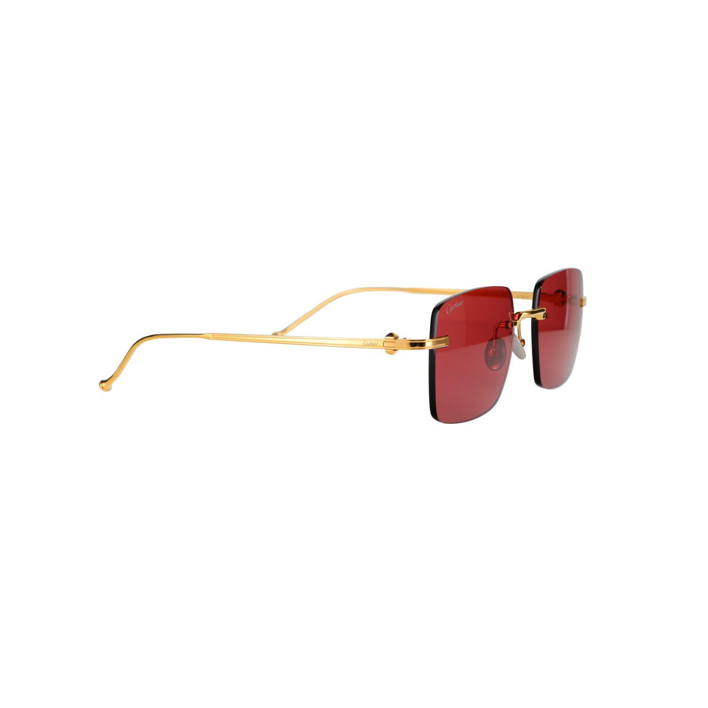 CT0403S Pasha Sunglasses