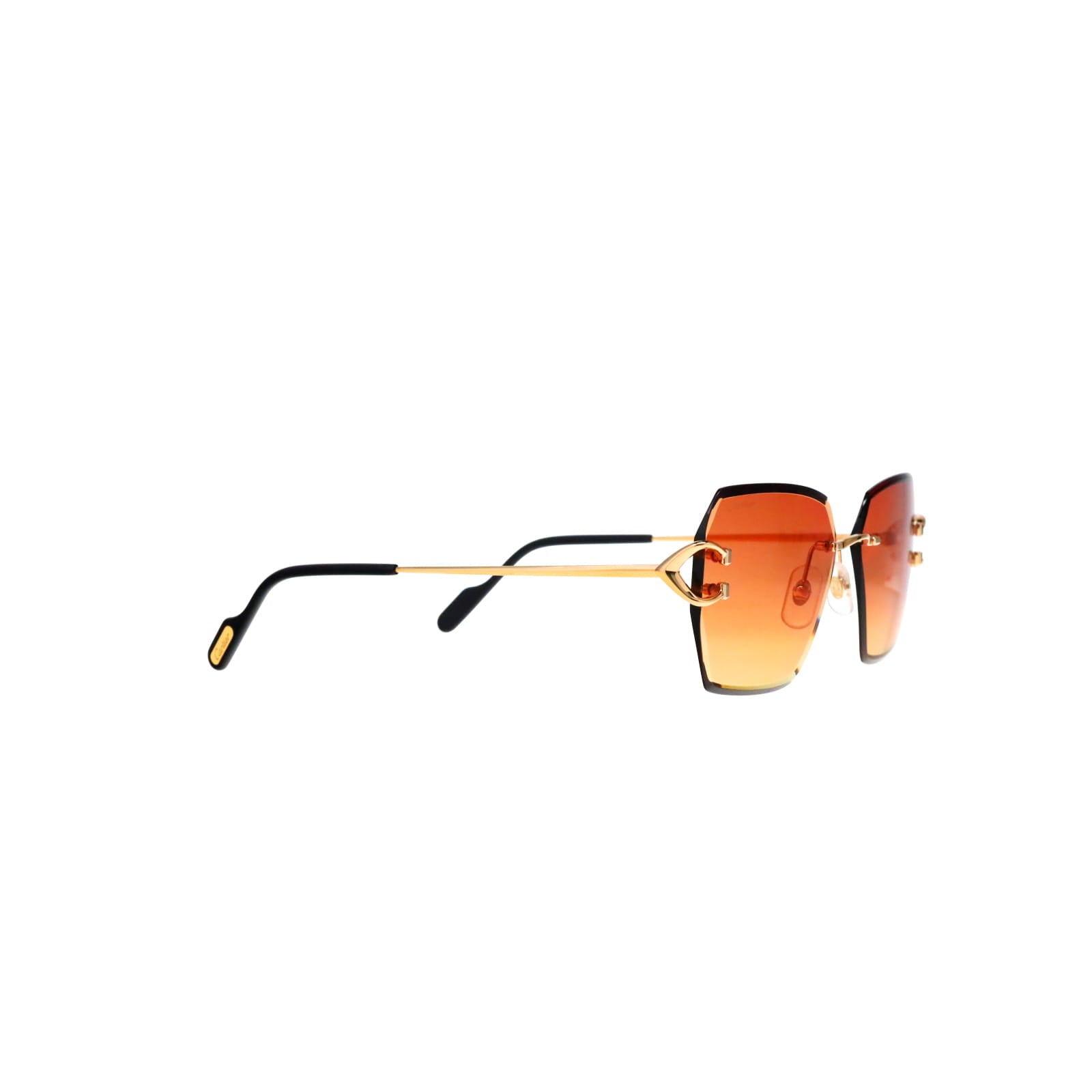 CT0466S  Signature C Sunglasses