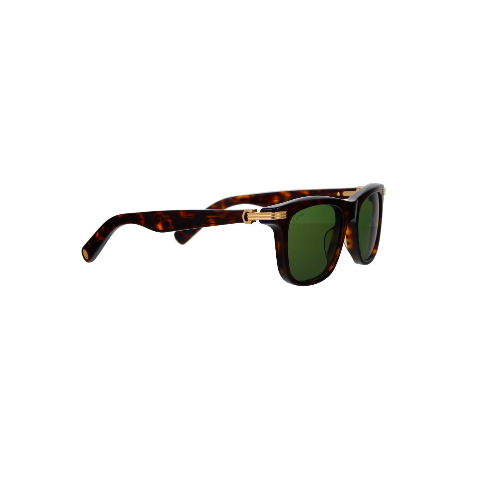 CT0396S Godron Contemporary Acetate Sunglasses