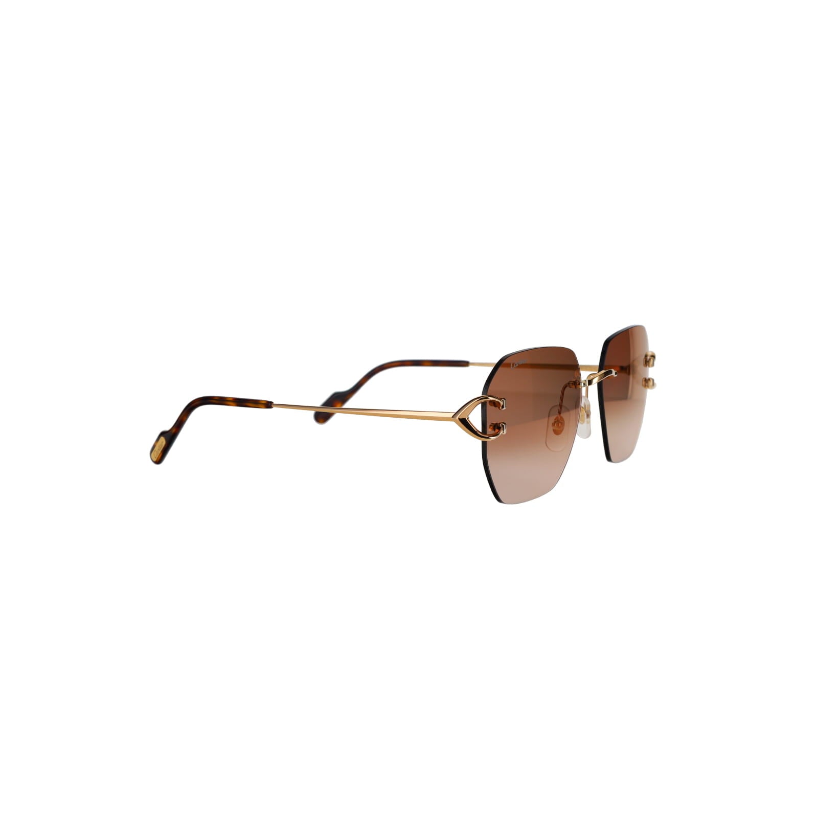 CT0394S Signature C Sunglasses