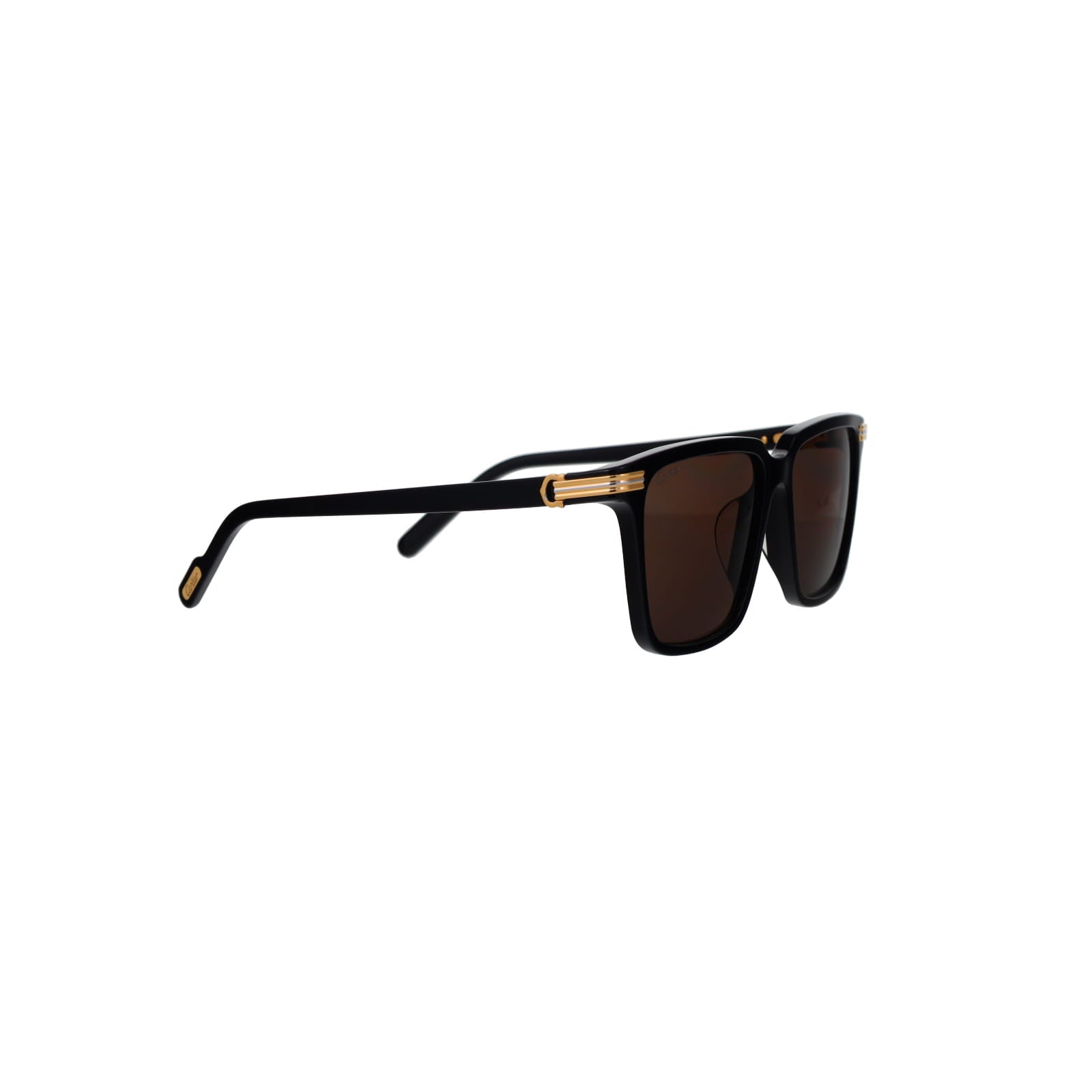CT0366S Contemporary Acetate Sunglasses