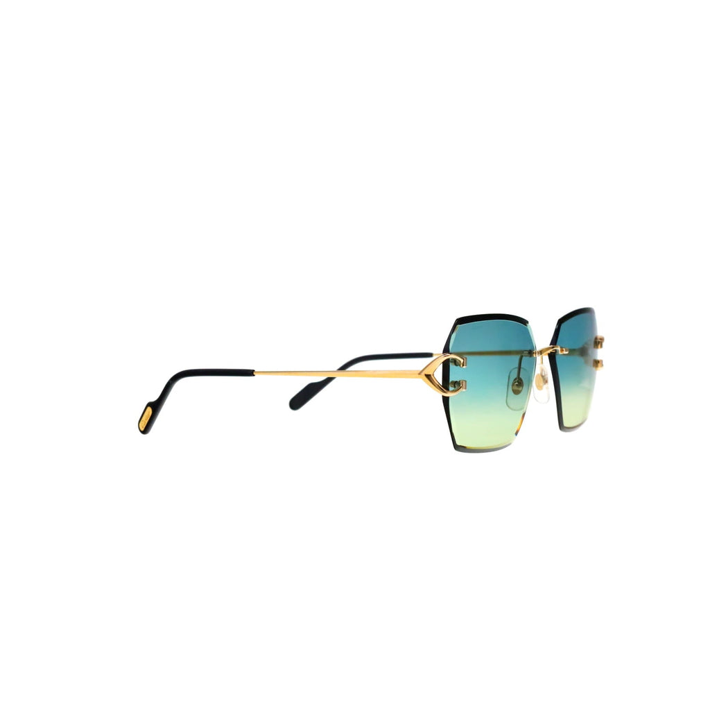CT0466S  Signature C Sunglasses