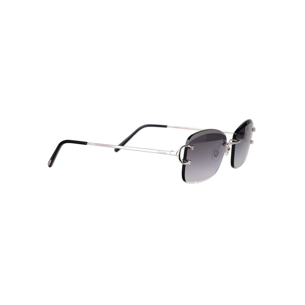 CT0010RS Signature C Sunglasses