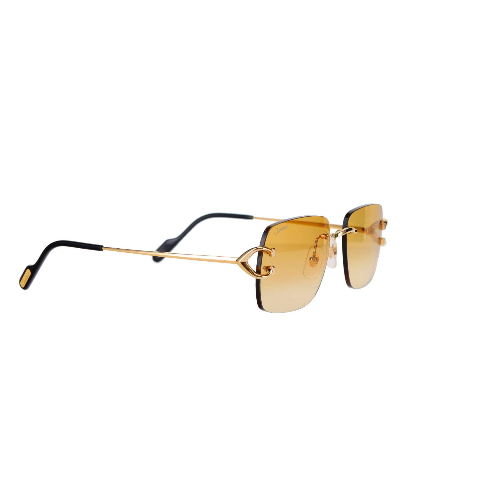 CT0330S Signature C  Sunglasses
