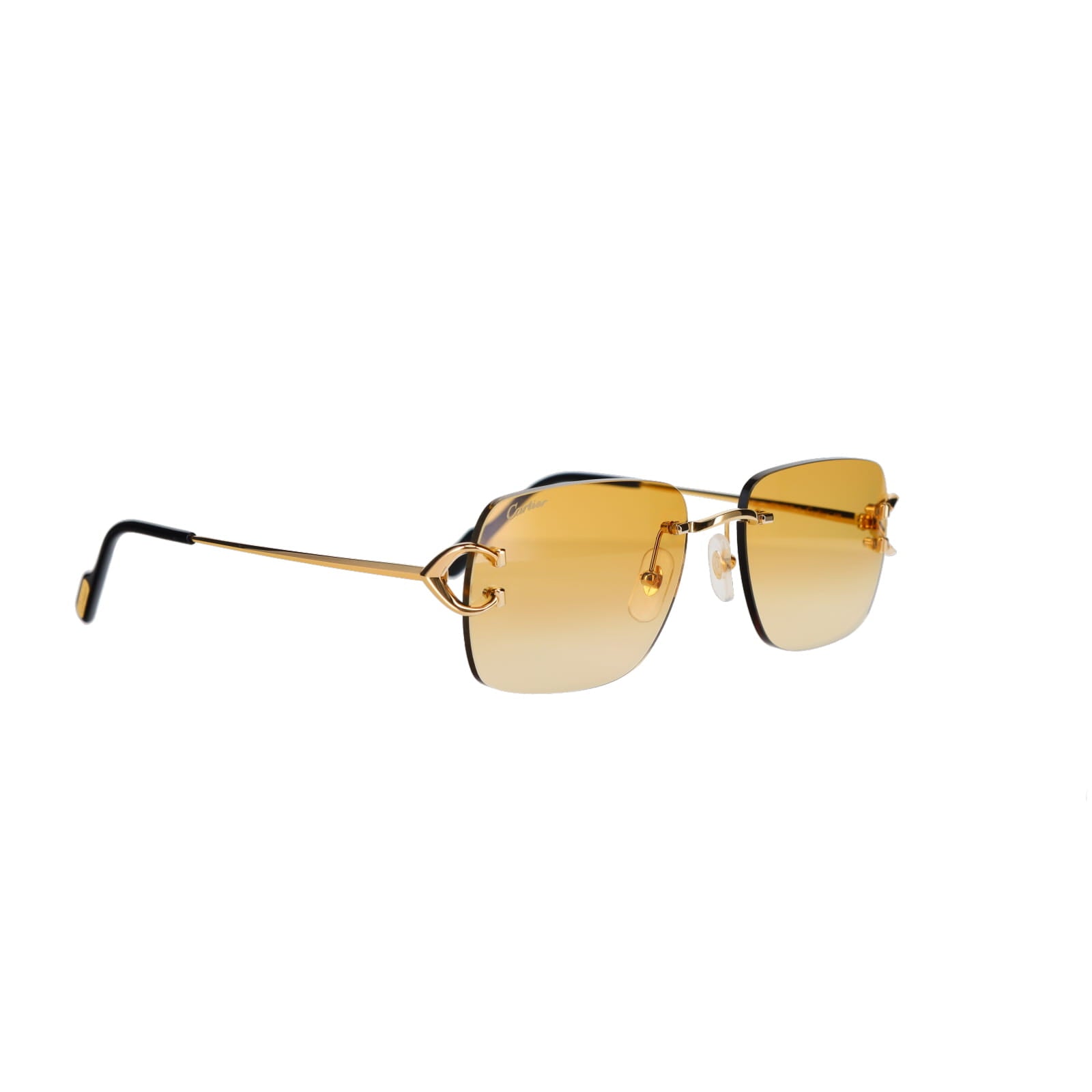 CT0330S Signature C  Sunglasses