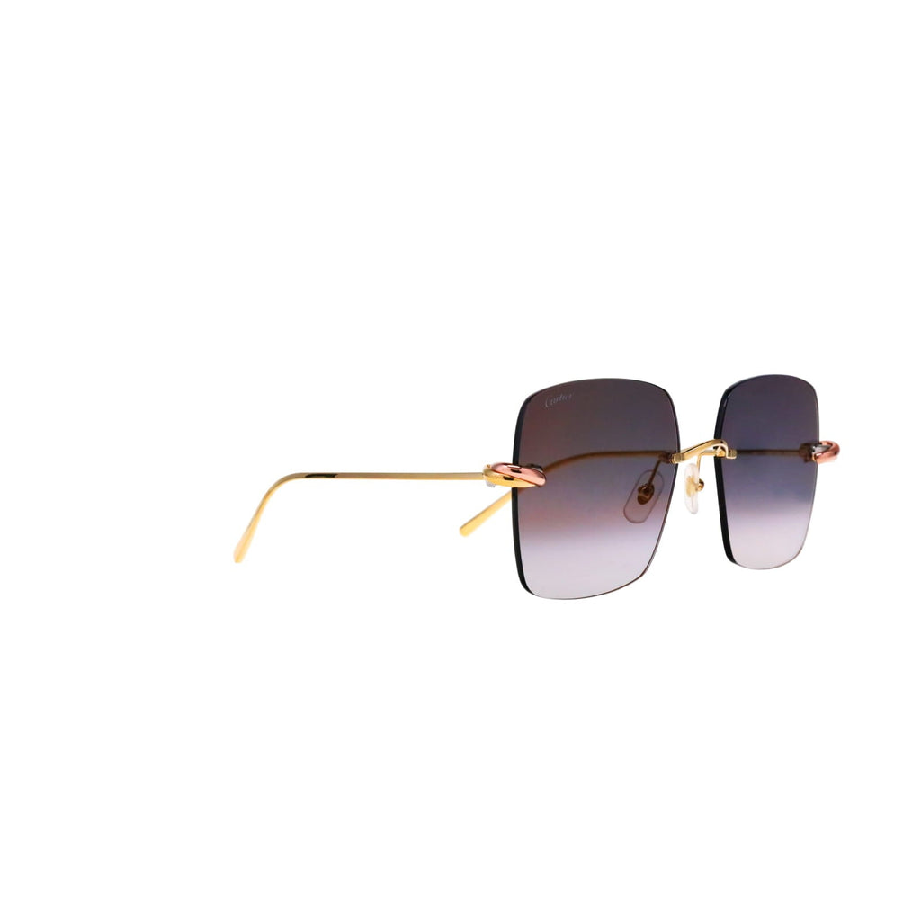 CT0508S Trinity Square Sunglasses