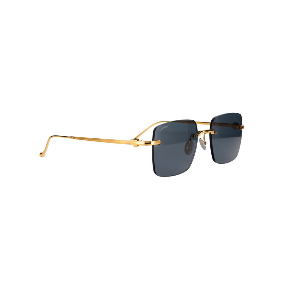 CT0403S Pasha Sunglasses