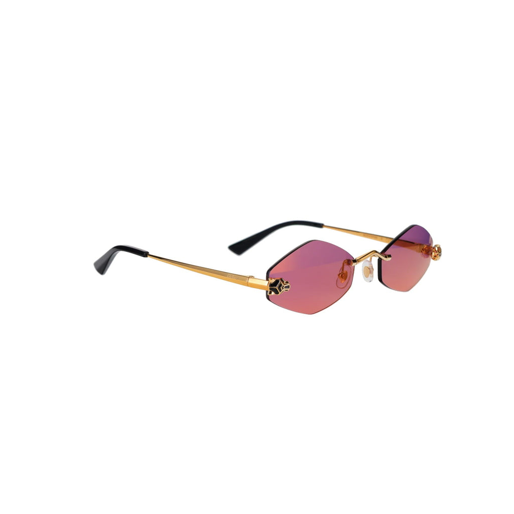 CT0433S Hexagonal Panthère Sunglasses