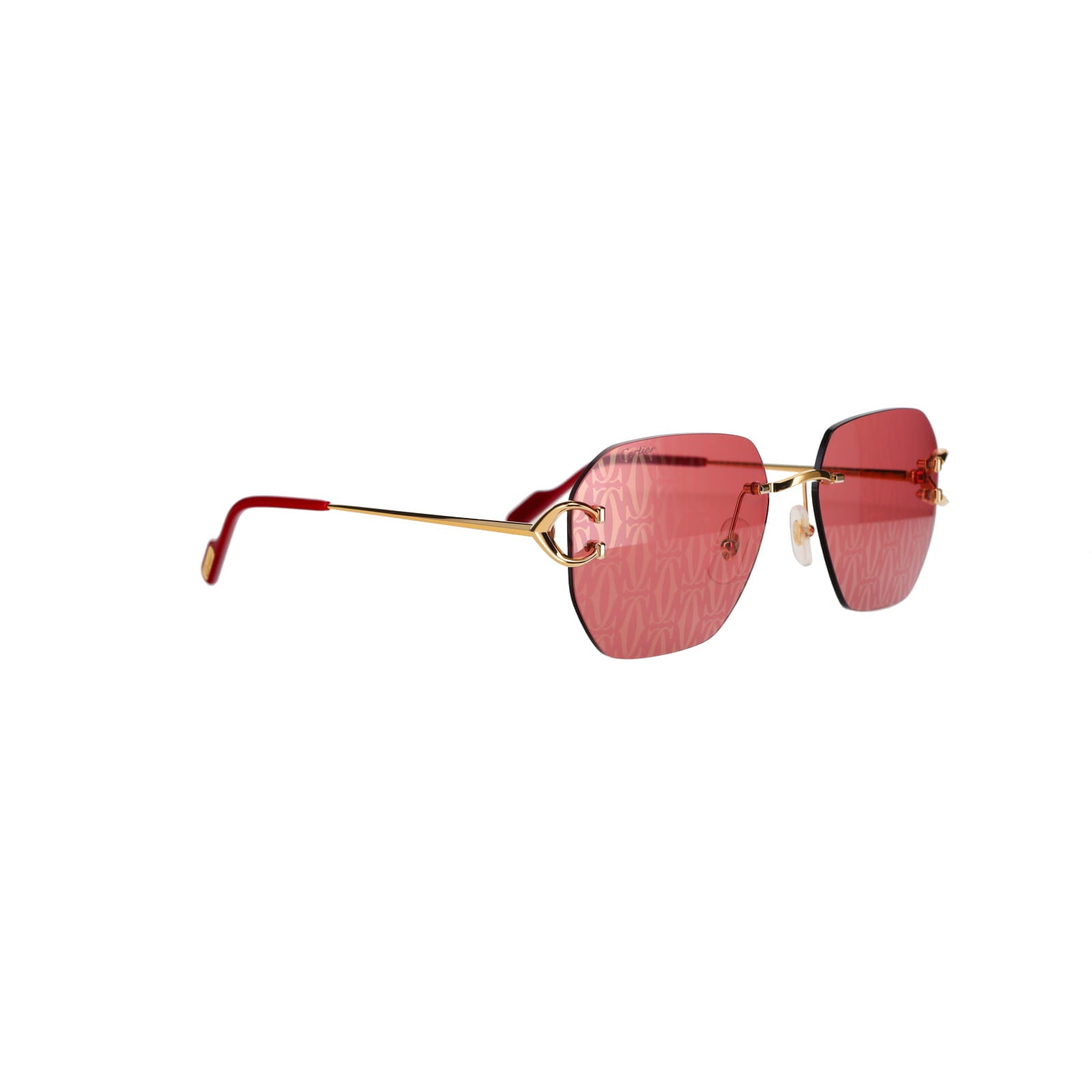 CT0394S Signature C Sunglasses