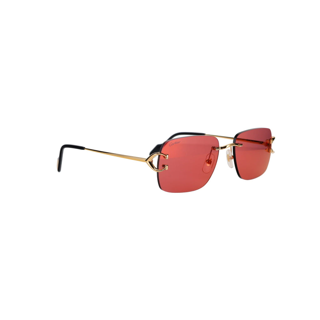 CT0330S Signature C  Sunglasses