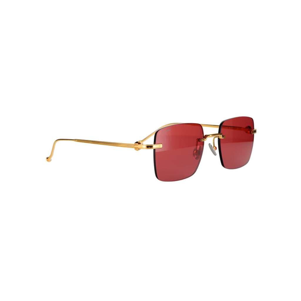 CT0403S Pasha Sunglasses