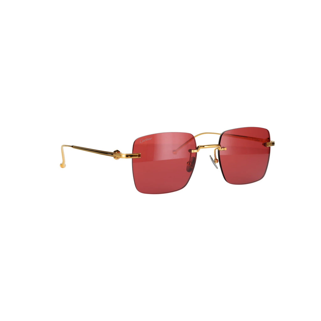 CT0403S Pasha Sunglasses
