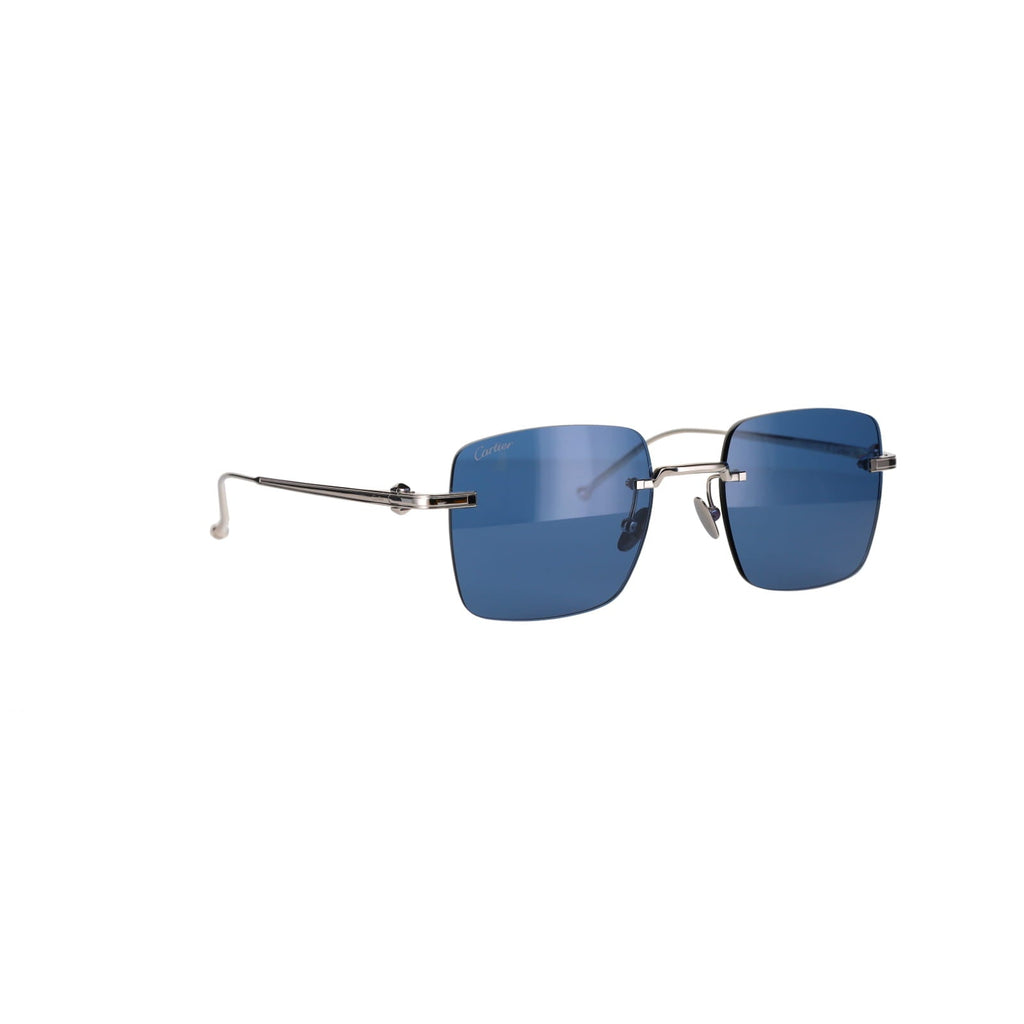 CT0403S Pasha Sunglasses