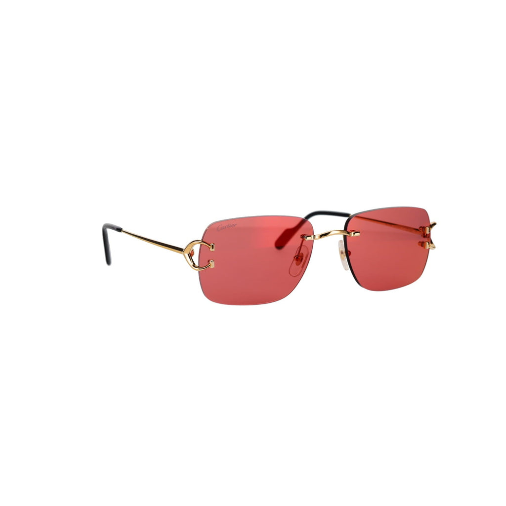 CT0330S Signature C  Sunglasses
