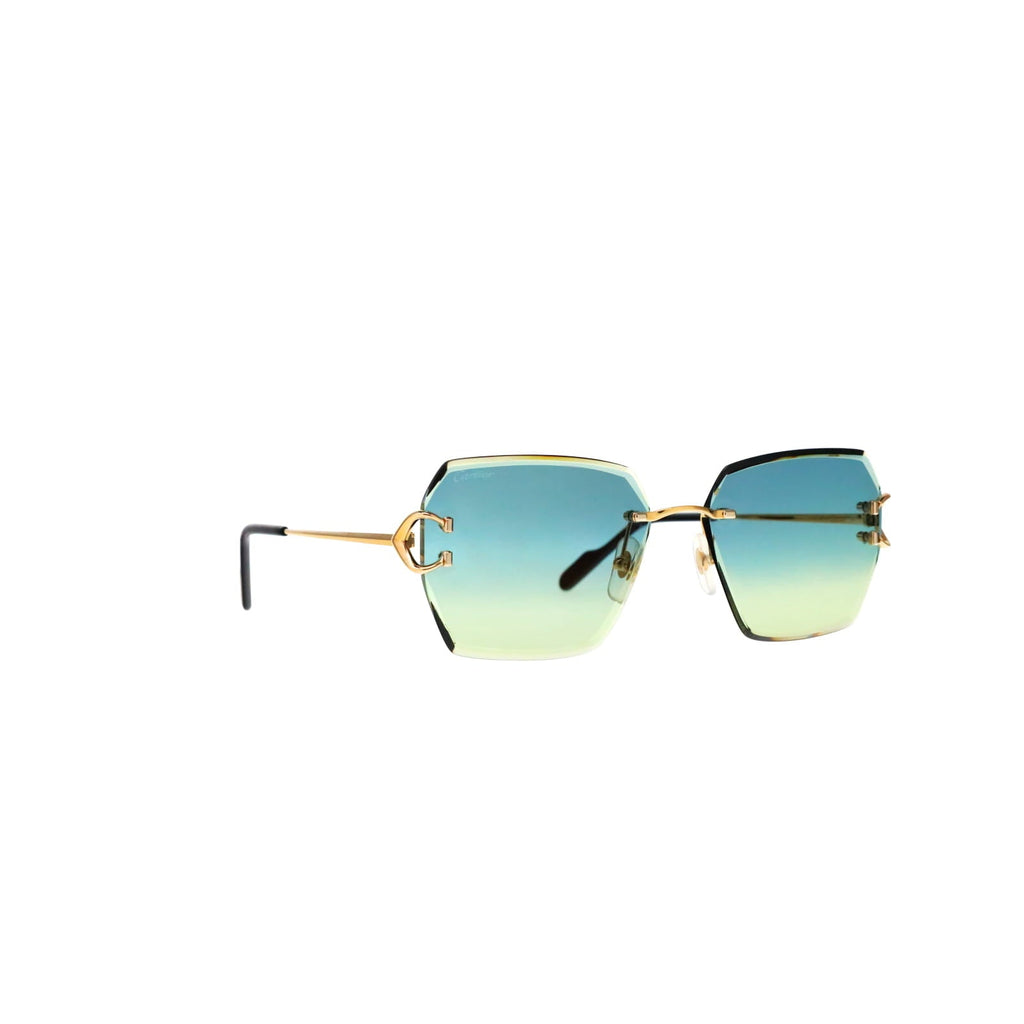 CT0466S  Signature C Sunglasses