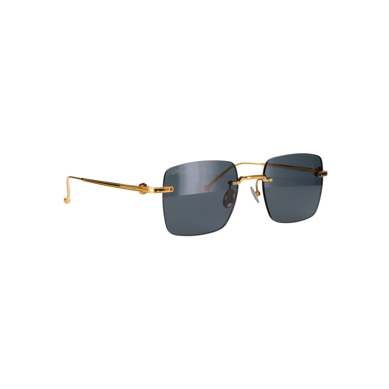 CT0403S Pasha Sunglasses