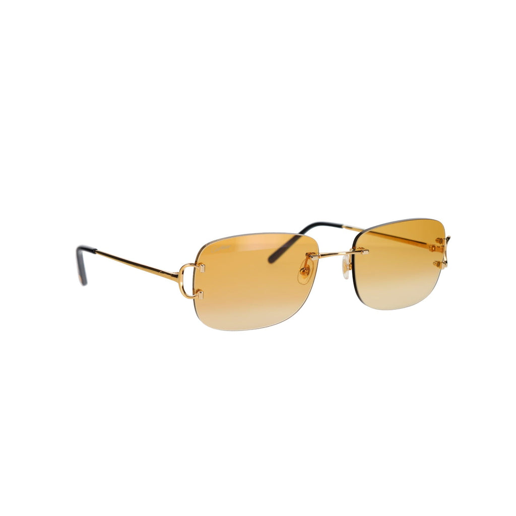 CT0011RS Signature C Sunglasses