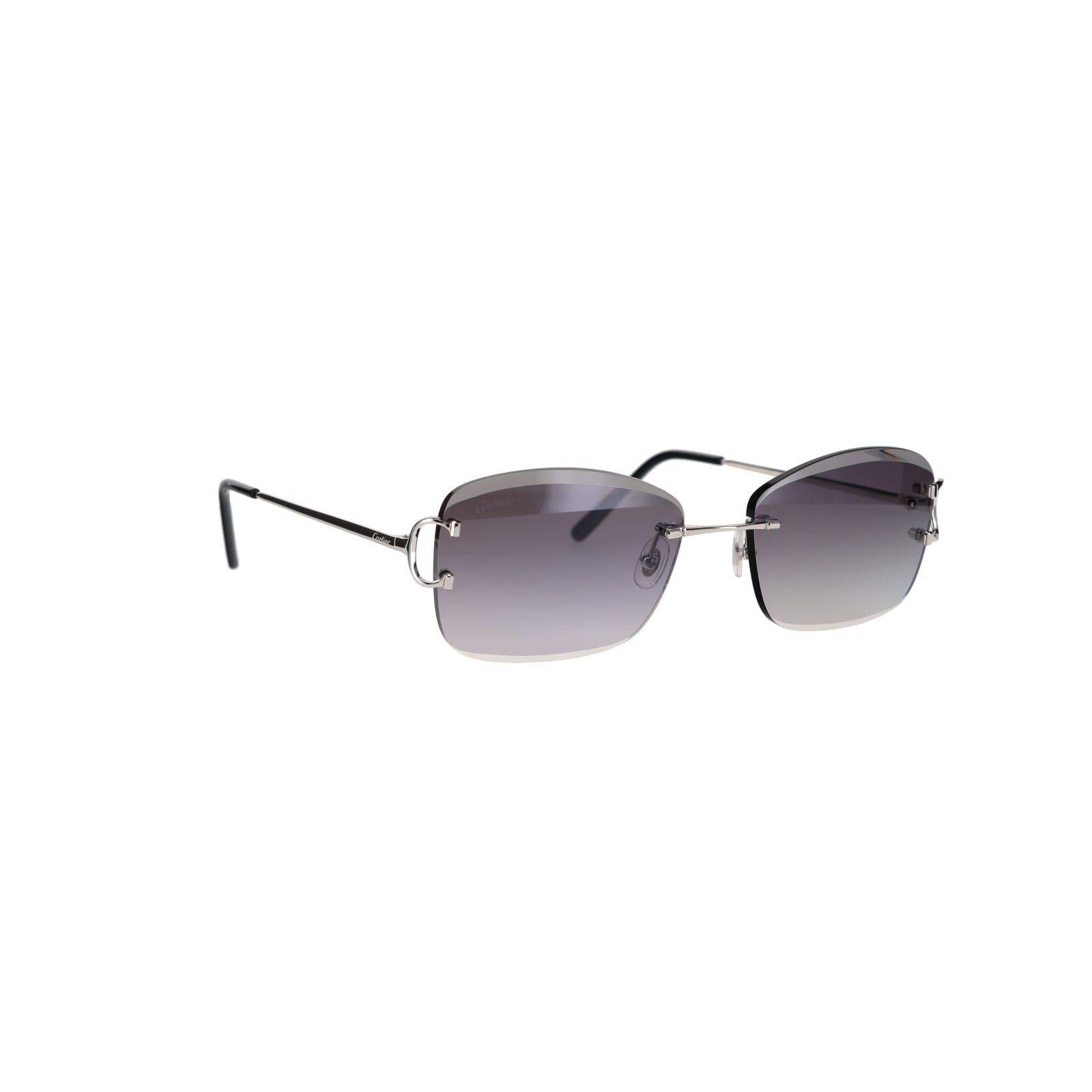 CT0010RS Signature C Sunglasses